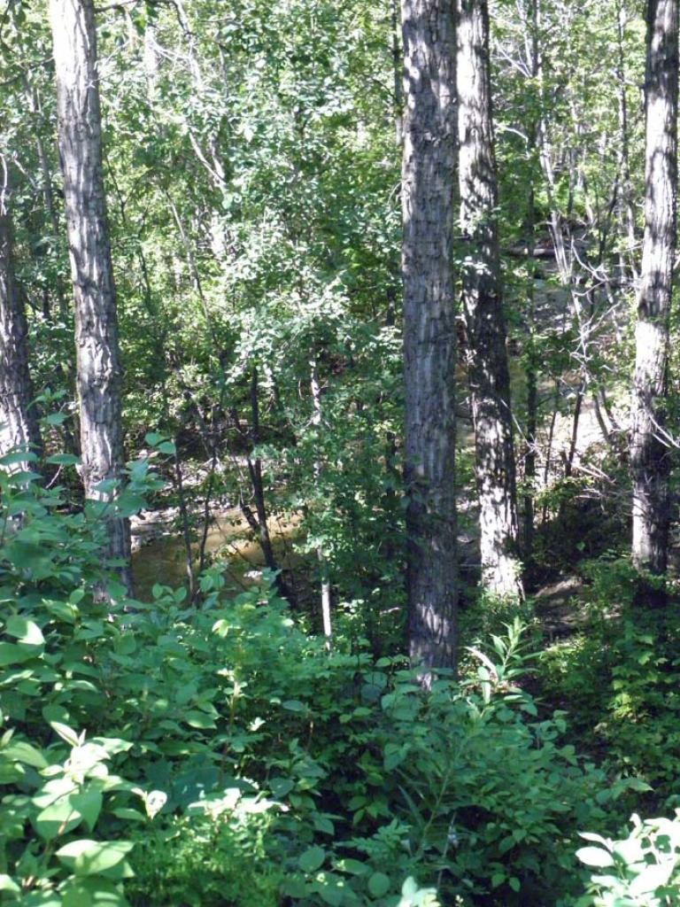 3 level building Shannon Manor